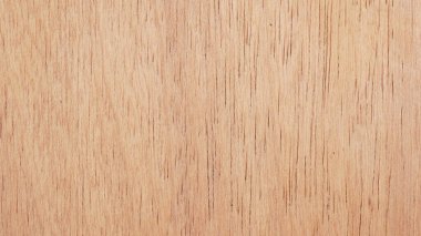 tasarım için grunge ahşap tahta Doku arka plan