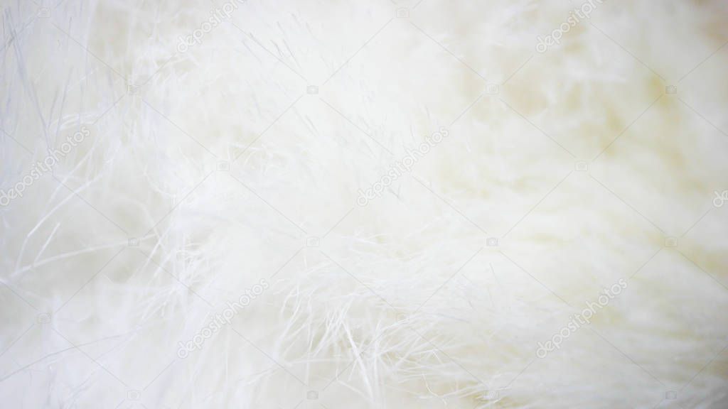 white fabric background, white cloth and soft white fur