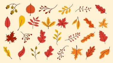 Autumn Leaves Set, Vector Illustration, Güz yaprakları veya sonbahar yaprakları ikonları, Düşen kavak, mevsimsel bayram tebrik kartı tasarımı için sonbahar yaprakları