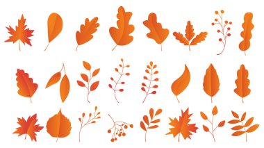 Autumn Leaves Set, Vector Illustration, Güz yaprakları veya sonbahar yaprakları ikonları, Düşen kavak, mevsimsel bayram tebrik kartı tasarımı için sonbahar yaprakları