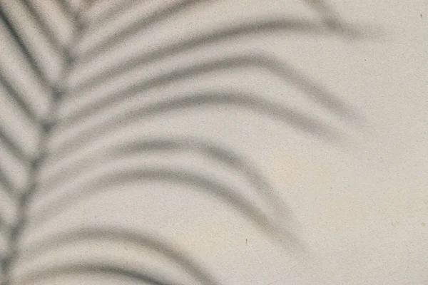 Αφηρημένη Υφή Φόντου Των Φύλλων Σκιών Ένα Τσιμεντένιο Τοίχο — Φωτογραφία Αρχείου