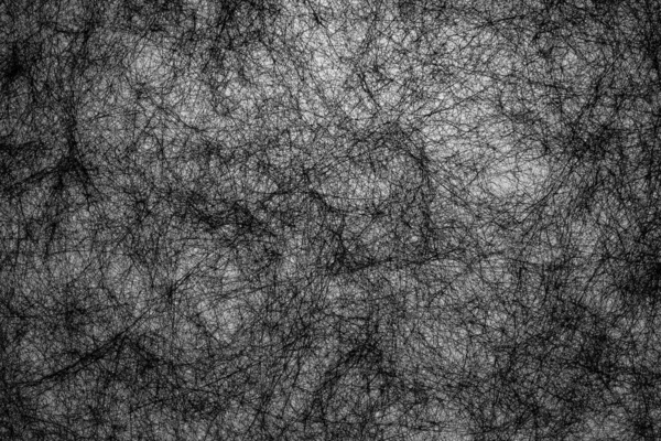 Beyaz Arkaplanda Siyah Fiber Çizgilerinin Soyut Arkaplanını Çiz — Stok fotoğraf
