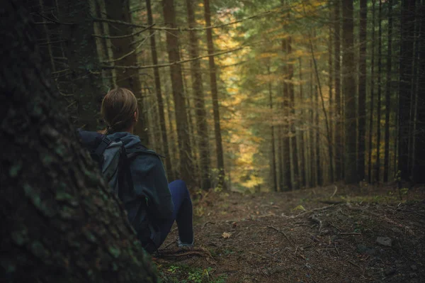 Ragazza Nella Foresta Magica — Foto Stock