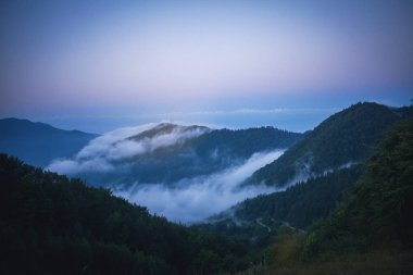 Sabah sonbahar sis dağlarda