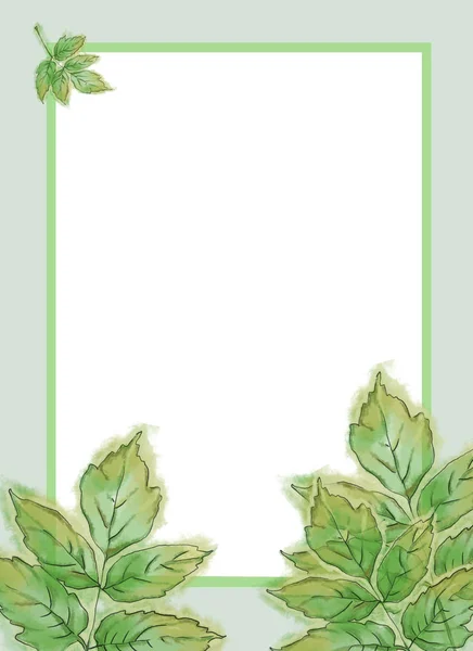 Plantilla Hojas Nogal Verde Con Espacio Copia Texto Blanco Enmarcado — Foto de Stock