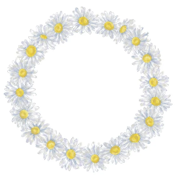 雏菊圆花圈在白色背景被隔绝和以文本拷贝空间在白色 水彩花框 用于打印 传单等 — 图库照片