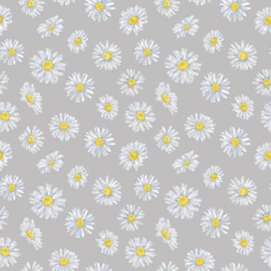 Daisy Dikişsiz desen gri arka plan üzerinde. Papatya arka plan, baskı ve Tekstil için Seamless modeli. Duvar kağıdı, hediye paketi ve moda için güzel çiçek tasarım.