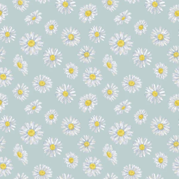 Daisy Seamless Pattern Blue Background Chamomile Seamless Pattern Background Print — Stock Photo, Image