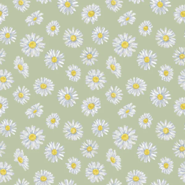 Daisy Seamless Pattern on Green Background. Chamomile Seamless Pattern for Background, Print, and Textile. Lovely Floral Design for Wallpaper, Gift Wrap, and Fashion.