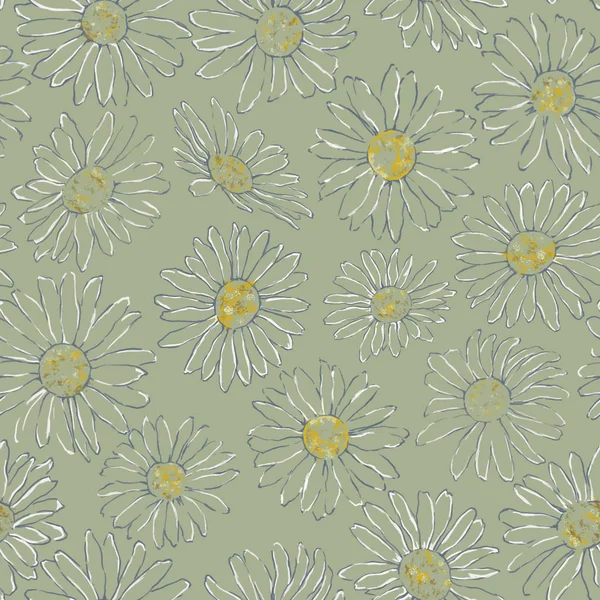 Linha Daisy Desenho Padrão Sem Costura Fundo Verde Camomila Seamless — Fotografia de Stock