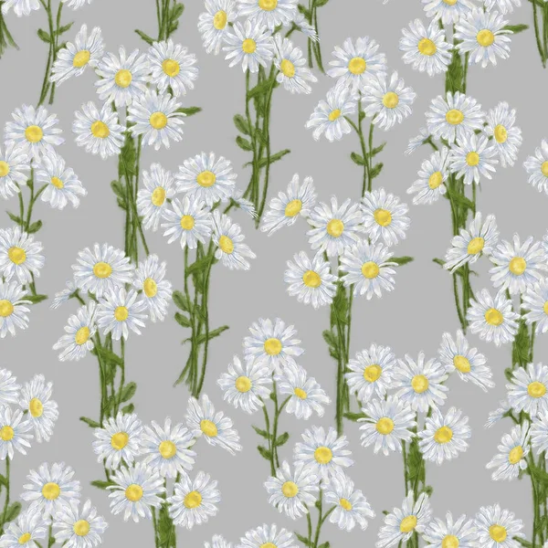 Daisy Line Drawing Seamless Pattern Green Background Chamomile Seamless Rapport — Stock Photo, Image