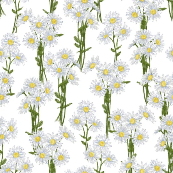 Daisy Bunch Seamless Pattern White Background Chamomile Bouquets Seamless Rapport — Stock Photo, Image