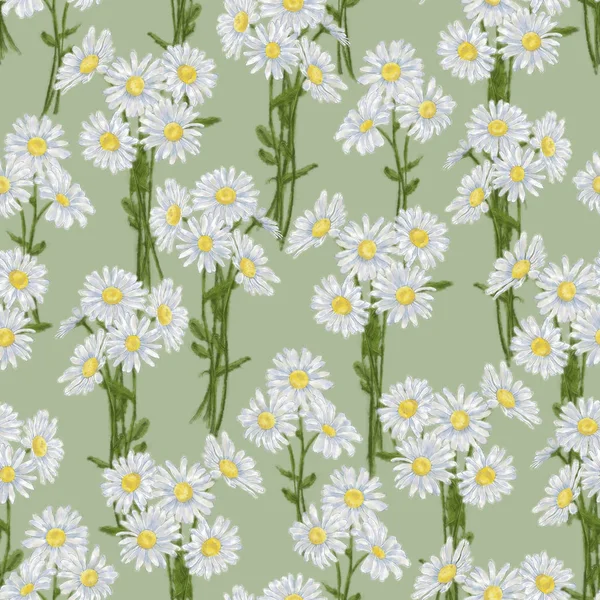Daisy Bunch Seamless Pattern on Green Background. Chamomile Bouquets Seamless Rapport for Print, Background, and Textile. Floral Seamless Design Perfect for Fashion, Gift Wrap,Wallpaper, and Backdrop. Daisy Bunches Arranged in a Seamless Pattern.