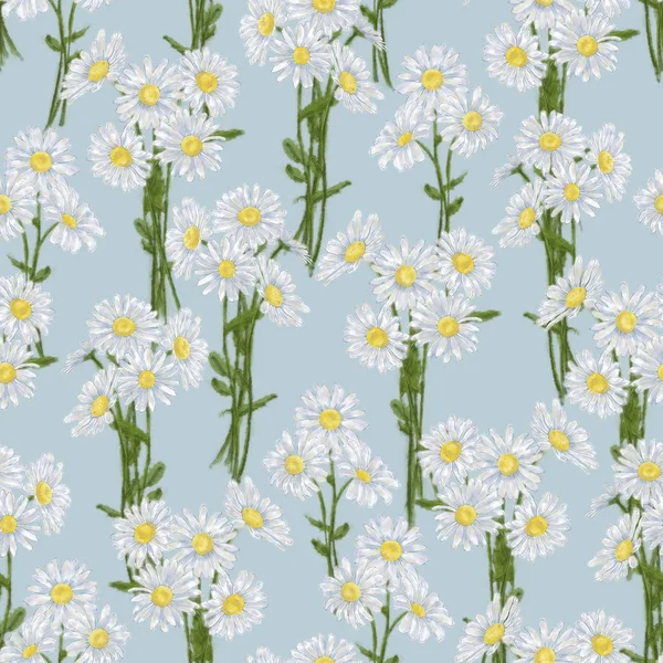 Daisy Bunch Seamless Pattern Blue Background Chamomile Bouquets Seamless Rapport — Stock Photo, Image