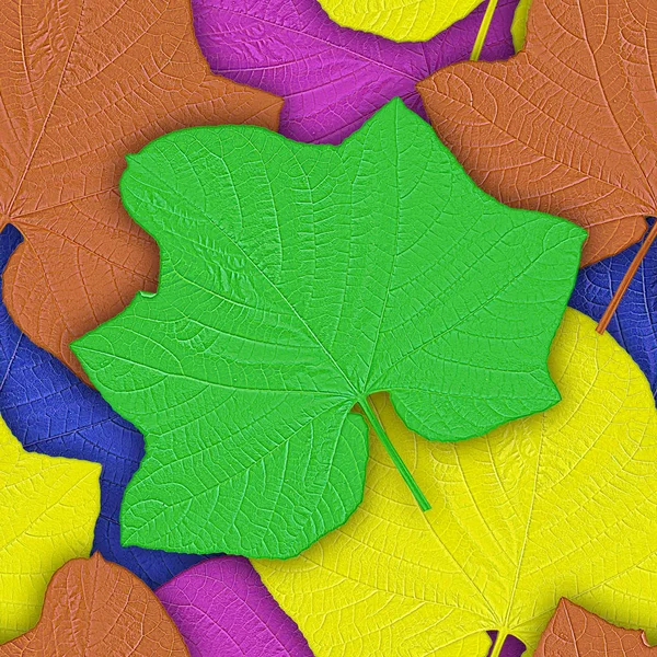 Бесшовный Фон Созданный Листьев Цветка Пагоды Clerodendrum Paniculatum — стоковое фото