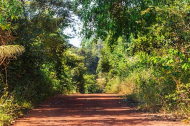 Pang SIDA Milli Parkı, Tayland için ormana kirli yol