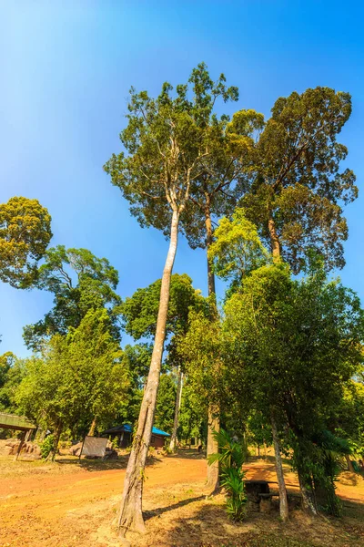 Kaeo Thaïlande Décembre 2017 Camping Huai Nam Yen Dans Parc — Photo