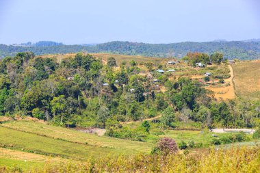 Lahana tarım arazileri ve kurak sezon Hill'de, Tayland yayla tarım yamacında küçük köy