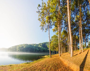 Panorama view of Pang Ung (Pang Tong reservoir) in the morning sunlight, Mae Hong Son province, Thailand clipart
