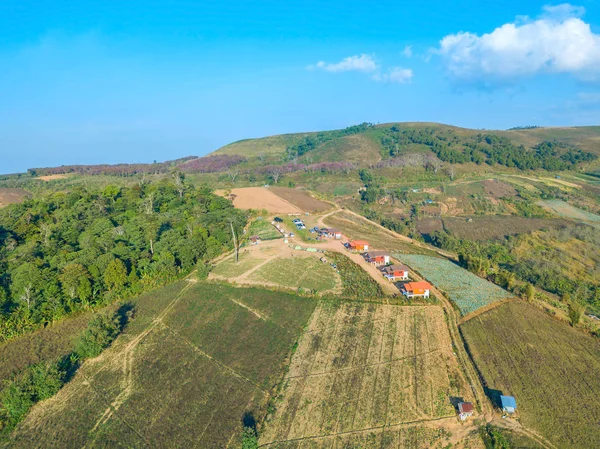 Kamera Drone Lahana Tarım Arazileri Küçük Evleri Kamp Alanı Üstünde — Stok fotoğraf