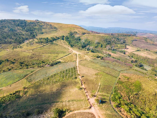 Aerial View Form Camera Drone Dirt Road Hill Cabbage Farmland — Stock Photo, Image