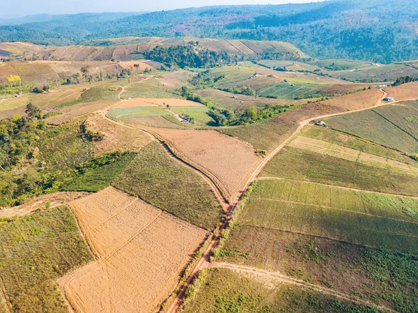 Vista Aérea Forma Cámara Drone Camino Tierra Colina Entre Las — Foto de Stock