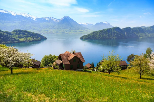 Güzel Doğa Görünümü Evleri Luzern Gölü Arka Planda Dağ Dağ — Stok fotoğraf