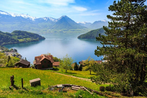 スイスのリギ クルムに途中リギ鉄道から美しい自然の風景とルツェルン湖と背景の山と山の斜面の家を表示します ストック画像