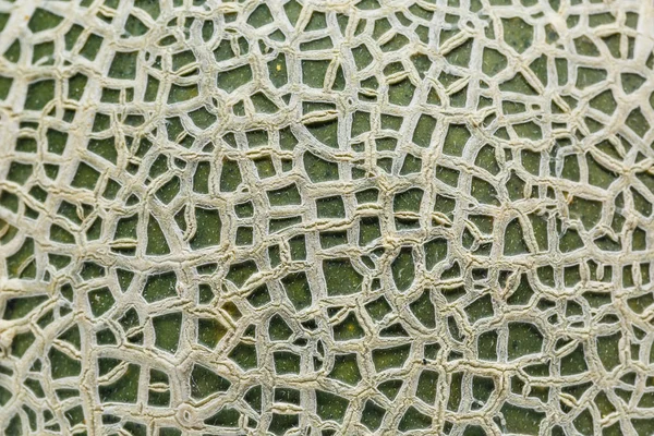 Bimei Çeşidinde Kavun Karpuz Kabuğu Onun Net Kabuklu Desen Gösterilen — Stok fotoğraf