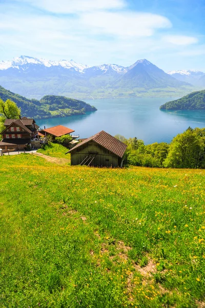 Vacker Natur Visa Och Hus Berg Slutta Med Luzern Sjön — Stockfoto