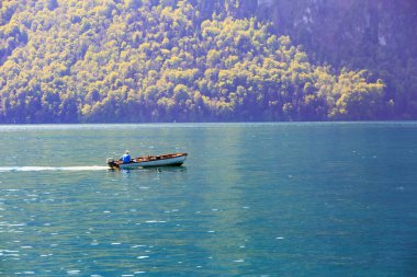 Dört Kanton Gölü, İsviçre balıkçılık yapıyor teknesinde soğutma