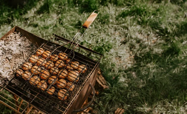 Izgaradaki ızgarada aynı beyaz, küçük, yuvarlak mantar şampiyonları sıraya dizilmiş. Yeşil çimen arka planı. Yaz. Pişmiş sebzelerin üzerine beyaz duman. 