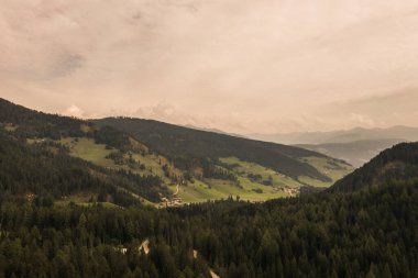 Güneşin doğuşunda yeşil çimlerin inanılmaz manzarası