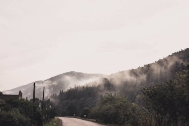 Kayalık yüksek dağlar. Ağaçların tepesinde orman sisi vardı.
