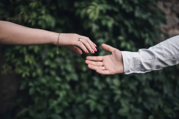 male and female hand reach each other on a green leafy background