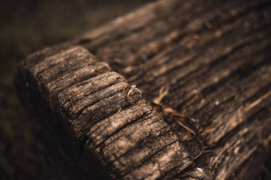 Gelin ve damadın alyansları tahta arka planda.