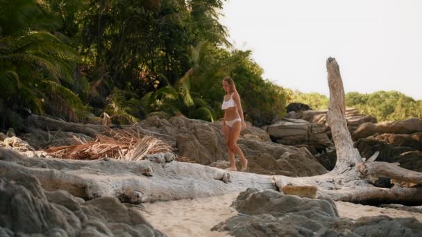 Mujer camina sobre una palmera caída en una playa salvaje en Phuket, Tailandia — Vídeos de Stock