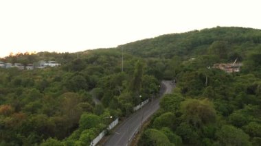 İnsansız hava aracı gün batımından sonra orman ve deniz üzerinde uçuyor.