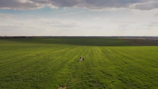 Widok z lotu ptaka na dziewczynę w długiej sukience i faceta spacerującego po zielonym polu — Wideo stockowe
