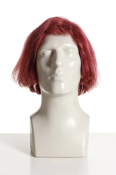 Mannequin Male Head Wig White — Stock Photo, Image