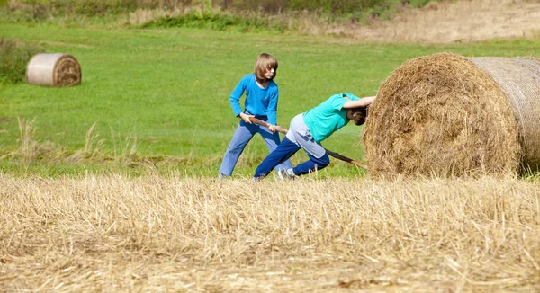 Dois Meninos Movendo Fardo Feno Com Pau Como Uma Alavanca — Fotografia de Stock