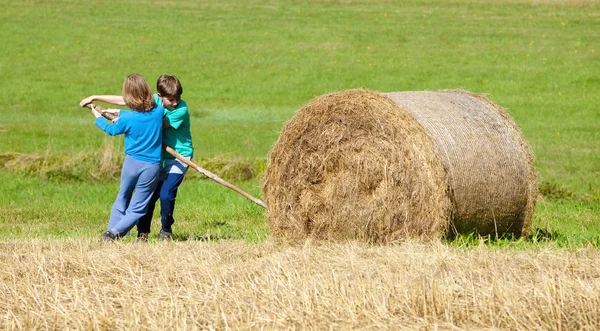 Two Boys Moving Bale Hay Stick Lever — Stock Photo, Image