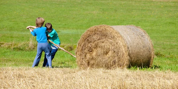 Two Boys Moving Bale Hay Stick Lever — Stock Photo, Image