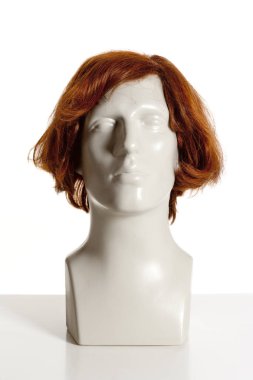 Beyaz peruk ile manken erkek baş