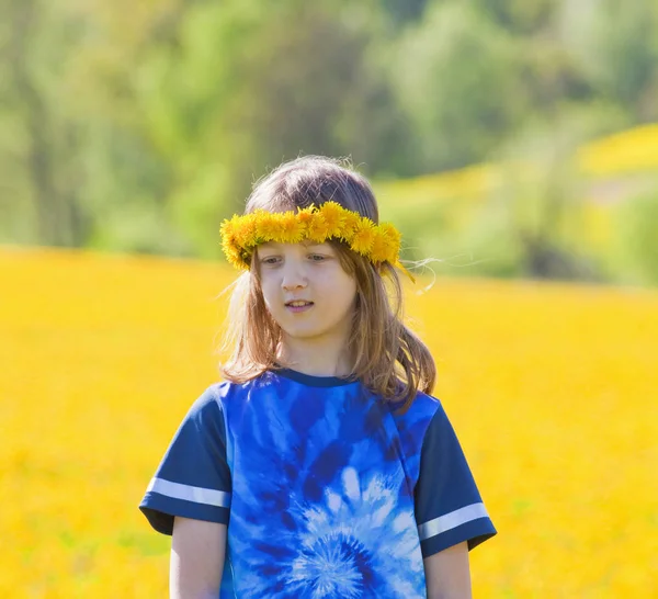 Dandelions bir çayır üzerinde toplama sarışın saçlı çocuk — Stok fotoğraf