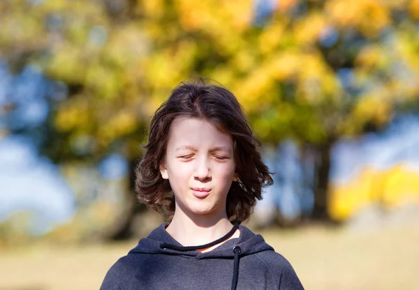 Retrato de un niño con el pelo castaño al aire libre . — Foto de Stock