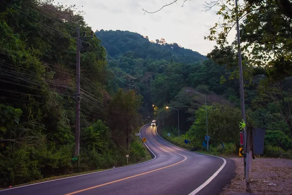 Morning Road Car Rainforest Morning Winding Road Yellow Stripe Rainforest — Stock Photo, Image