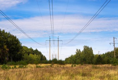 İki kutup yüksek voltajlı elektrikli tellerle ormandaki çayırda