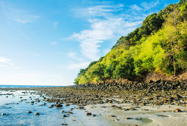Скалистый пляж во время отлива с тропическими лесами в стороне под голубым небом
