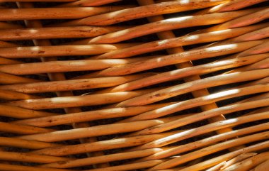 Güneş ışığı, makro çekim ile Vines doku